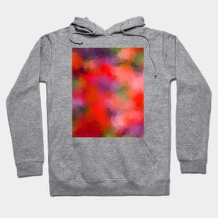 Rainbow Soup Hoodie